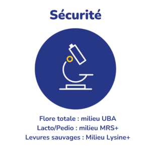 Sécurité - Flore totale : milieu UBA / Lacto/Pedio : milieu MRS+ / Levures sauvages : Milieu Lysine+