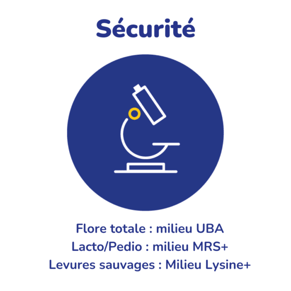 Sécurité - Flore totale : milieu UBA / Lacto/Pedio : milieu MRS+ / Levures sauvages : Milieu Lysine+