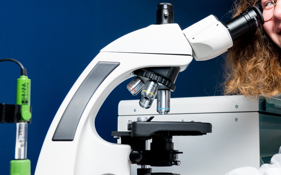 Utilisation du microscope